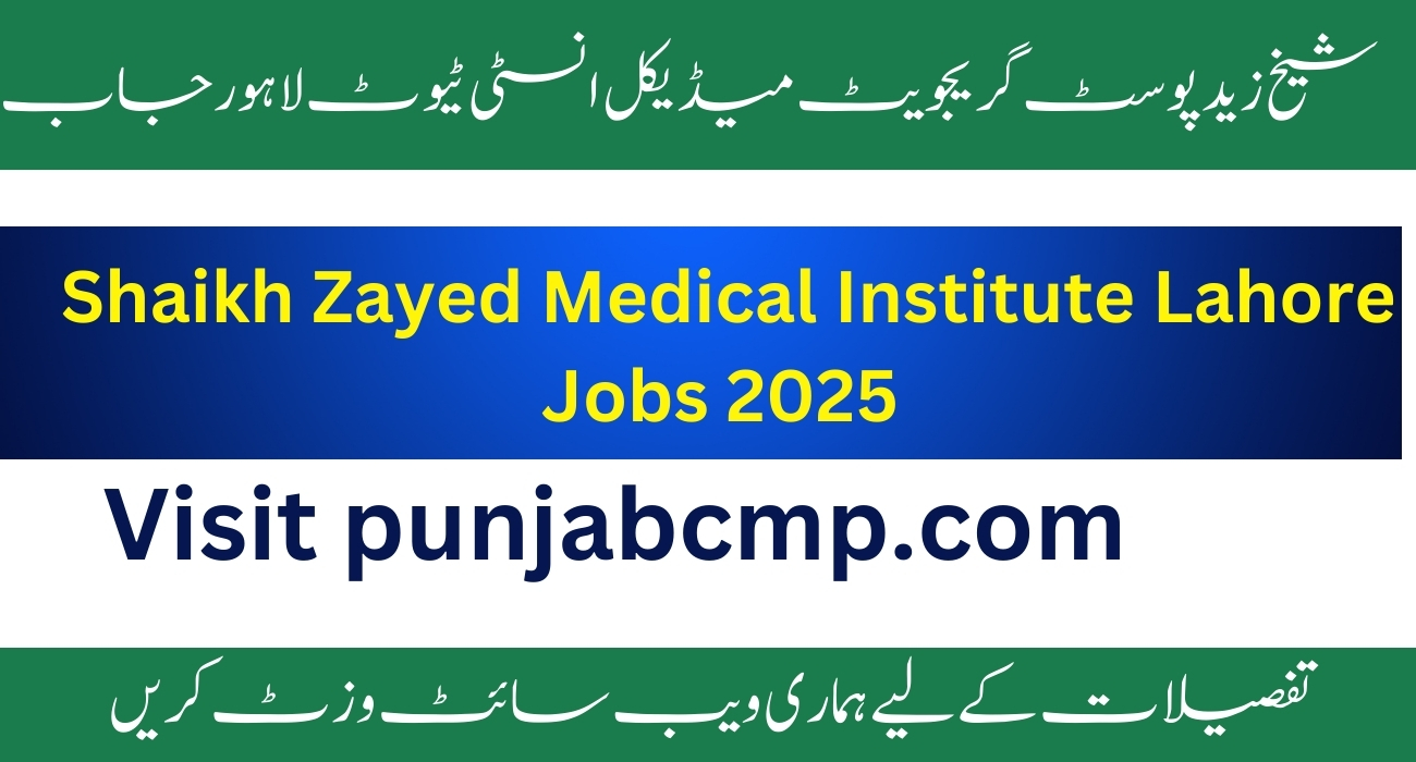 Shaikh Zayed Postgraduate Medical Institute Lahore Jobs January 2025