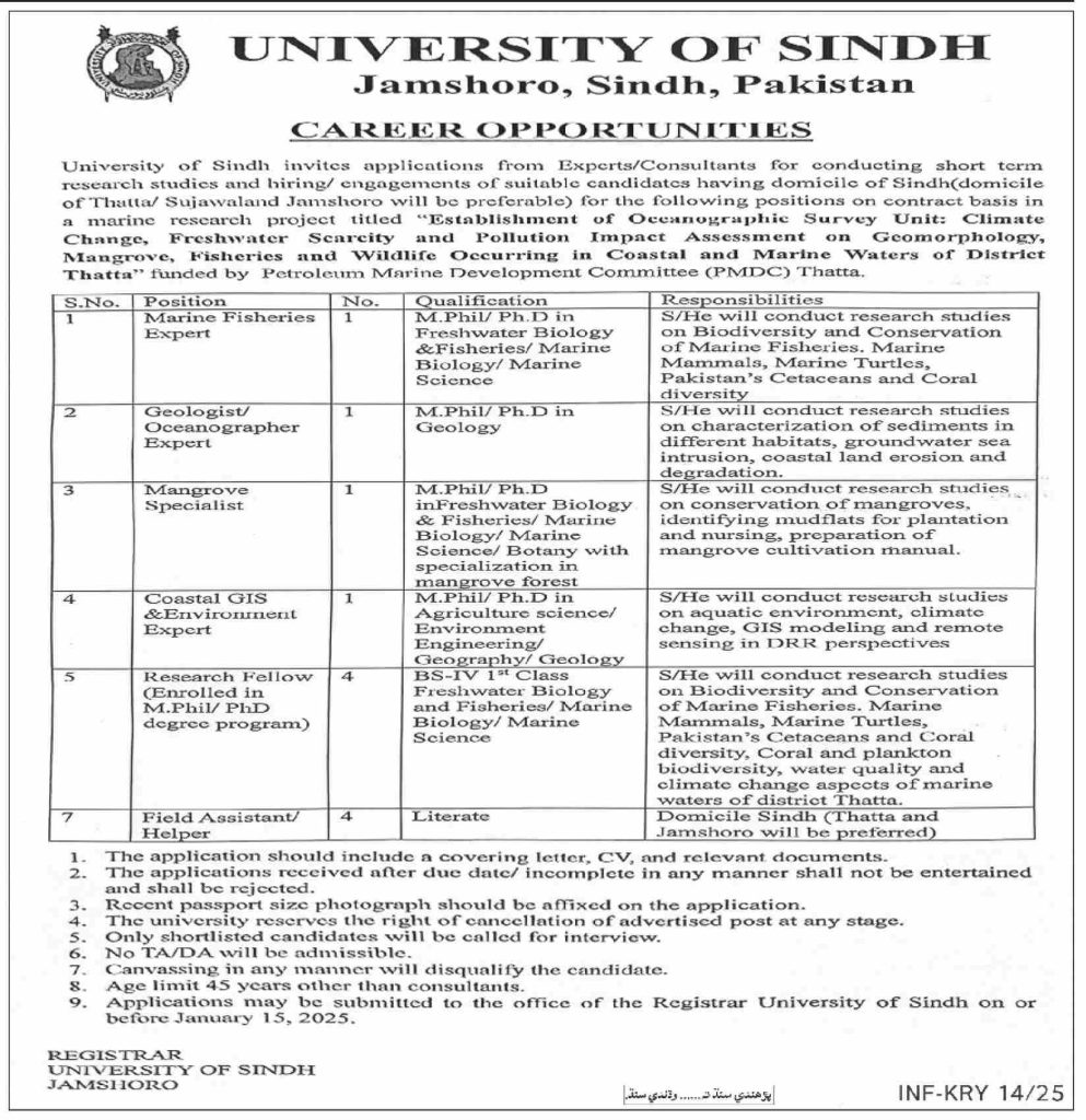 University of Sindh Jamshoro Jobs January 2025 